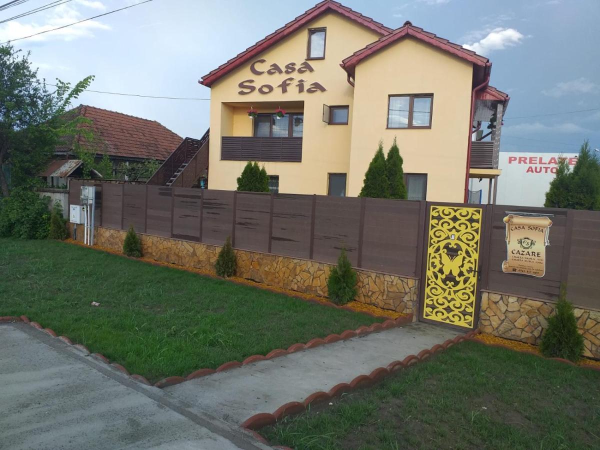 ホテル Casa Sofia Târgu Jiu エクステリア 写真