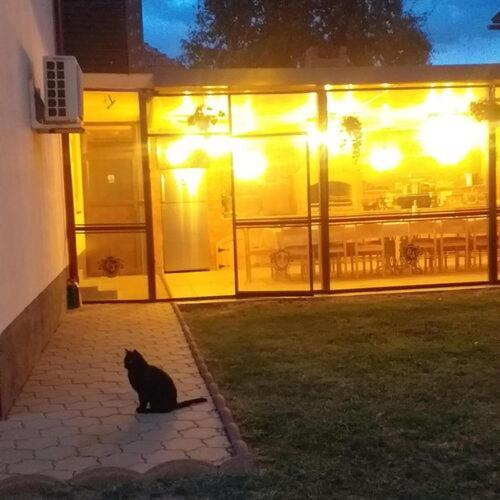ホテル Casa Sofia Târgu Jiu エクステリア 写真